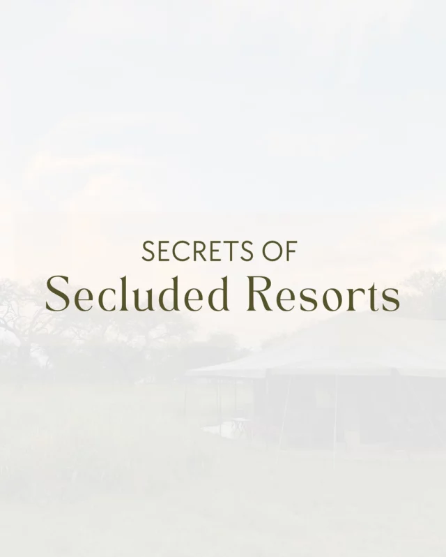 ✨ Lessons from working with secluded resorts✨

Every resort is unique, but one thing stays the same: the drive to create exceptional guest experiences, no matter the challenges.

From adapting recipes to overcoming ingredient shortages, here are six lessons I’ve learned that help teams thrive in remote locations:

1️⃣ Flexibility is key—things don’t always go as planned.

2️⃣ Respect local rhythms and culture.

3️⃣ Teams are eager to grow when training meets their needs.

4️⃣ Adapt recipes to what’s available locally.

5️⃣ Collaboration drives long-term success.

6️⃣ It all comes back to delighting your guests.

Every challenge is an opportunity to elevate not just the desserts but also the team behind them.

Which lesson resonates most with you? Let me know in the comments!

#pastryconsulting #hospitalityinsights #secludedresorts #guestexperience #teamtraining